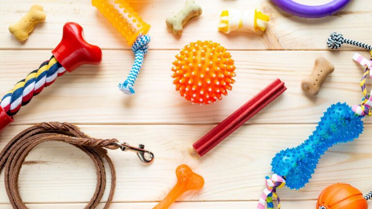 Vet-Approved Dog Chew Toys for Heavy Chewers